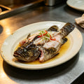 Premium Fresh Whole Grouper