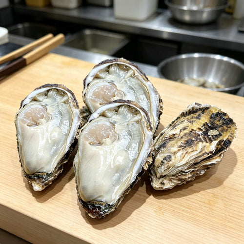 Fresh Raw Oysters